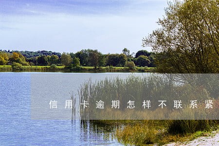 信用卡逾期怎样不联系紧急联系人