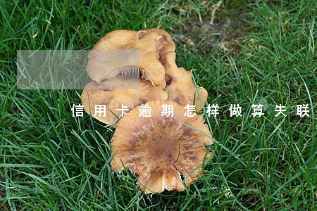 信用卡逾期怎样做算失联 信用卡逾期怎样做算失联