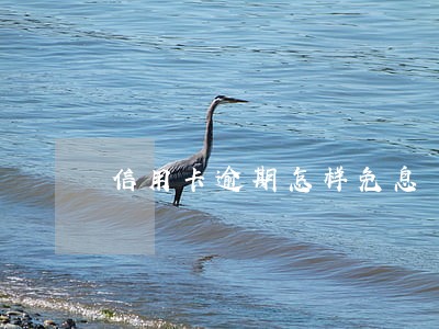 信用卡逾期怎样免息 信用卡逾期怎样免息