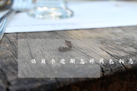 信用卡逾期怎样减免利息 信用卡逾期怎样减免利息