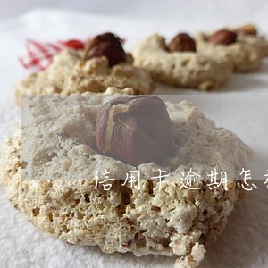 信用卡逾期怎样分期还款 信用卡逾期怎样分期还款