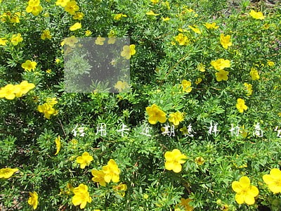 信用卡逾期怎样协商分期 信用卡逾期怎样协商分期