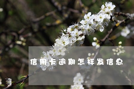 信用卡逾期怎样发信息 信用卡逾期怎样发信息
