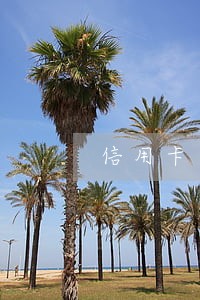 信用卡逾期怎样可以避免起诉 信用卡逾期怎样可以避免起诉
