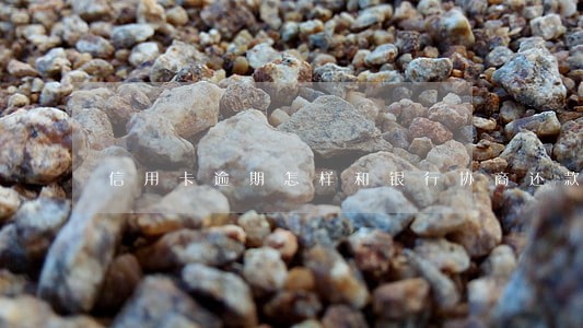 信用卡逾期怎样和银行协商还款 信用卡逾期怎样和银行协商还款