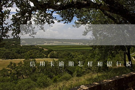 信用卡逾期怎样和银行说 信用卡逾期怎样和银行说