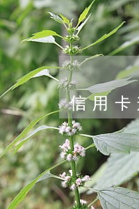 信用卡逾期怎样处罚