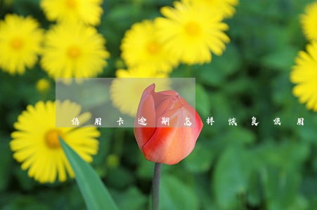 信用卡逾期怎样恢复使用 信用卡逾期怎样恢复使用