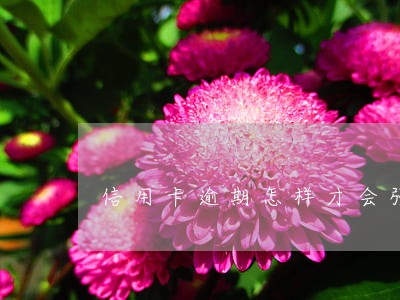 信用卡逾期怎样才会强制划扣 信用卡逾期怎样才会强制划扣