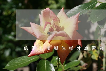 信用卡逾期怎样才算黑名单 信用卡逾期怎样才算黑名单
