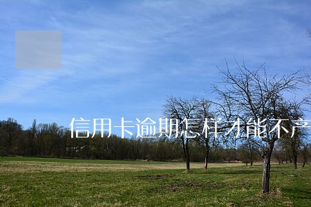 信用卡逾期怎样才能不产生利息 信用卡逾期怎样才能不产生利息