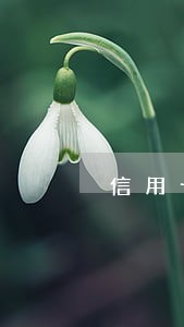 信用卡逾期怎样才能协商 信用卡逾期怎样才能协商