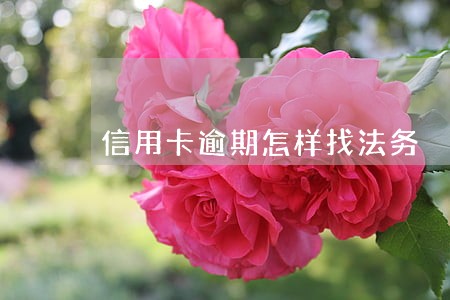 信用卡逾期怎样找法务 信用卡逾期怎样找法务