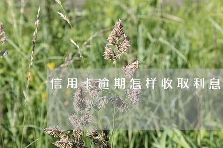 信用卡逾期怎样收取利息 信用卡逾期怎样收取利息