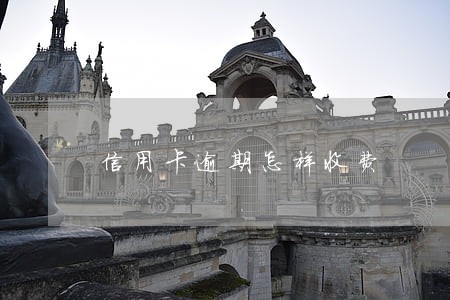信用卡逾期怎样收费 信用卡逾期怎样收费