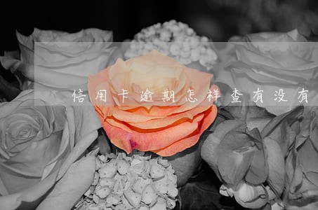 信用卡逾期怎样查有没有立案 信用卡逾期怎样查有没有立案