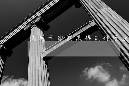 信用卡逾期怎样正确还款 信用卡逾期怎样正确还款