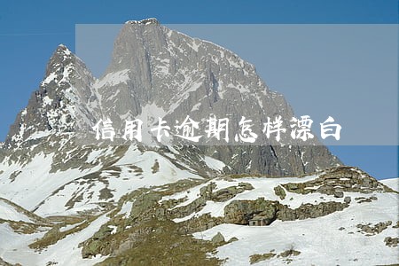 信用卡逾期怎样漂白