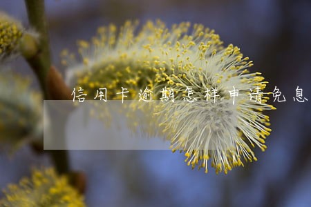 信用卡逾期怎样申请免息分期还 信用卡逾期怎样申请免息分期还