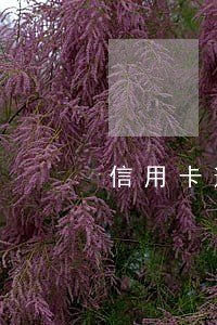 信用卡逾期怎样申请只还本金