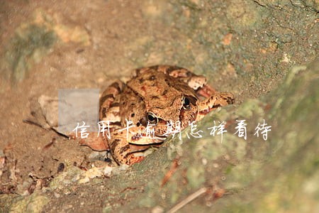 信用卡逾期怎样看待