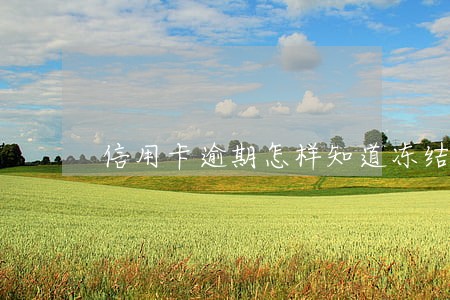 信用卡逾期怎样知道冻结没 信用卡逾期怎样知道冻结没