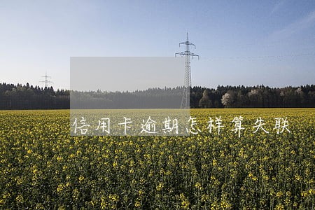 信用卡逾期怎样算失联 信用卡逾期怎样算失联