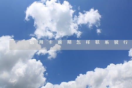 信用卡逾期怎样联系银行总行