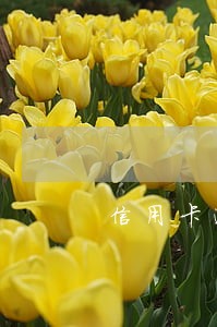 信用卡逾期怎样跟银行沟通