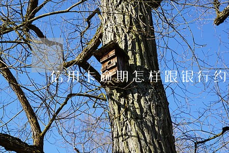 信用卡逾期怎样跟银行约谈 信用卡逾期怎样跟银行约谈