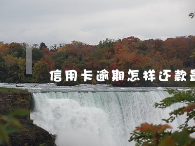 信用卡逾期怎样还款最可靠 信用卡逾期怎样还款最可靠