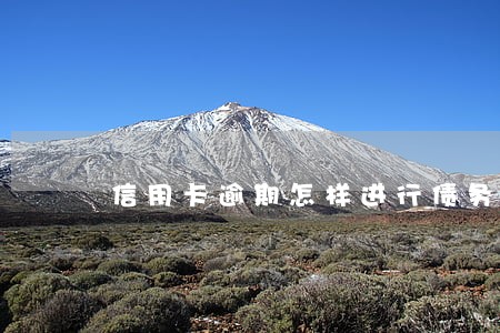 信用卡逾期怎样进行债务重组 信用卡逾期怎样进行债务重组