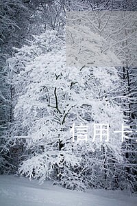 信用卡逾期怎能办