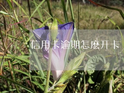 信用卡逾期怎麽开卡