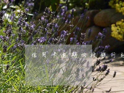 信用卡逾期怕被银行起诉 信用卡逾期怕被银行起诉