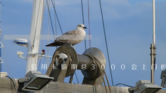 信用卡逾期总3000会上门吗 信用卡逾期总3000会上门吗