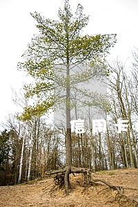 信用卡逾期总叫还一期 信用卡逾期总叫还一期