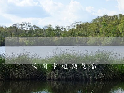 信用卡逾期总数