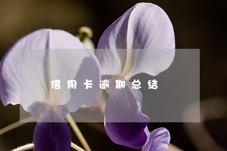 信用卡逾期总结 信用卡逾期总结