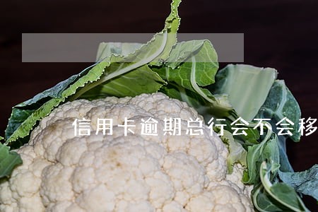 信用卡逾期总行会不会移交分行 信用卡逾期总行会不会移交分行