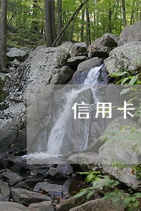 信用卡逾期总金额21万 信用卡逾期总金额21万
