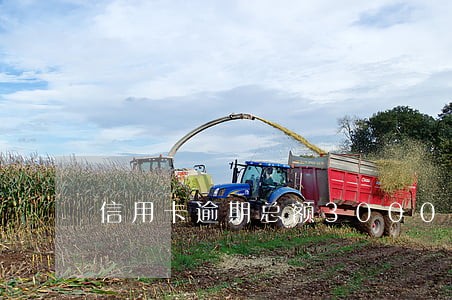 信用卡逾期总额3000亿 信用卡逾期总额3000亿