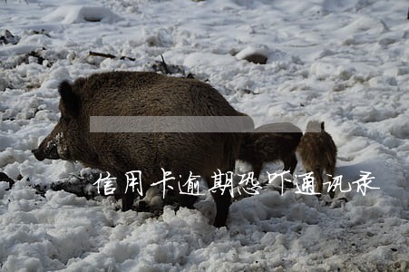 信用卡逾期恐吓通讯录 信用卡逾期恐吓通讯录