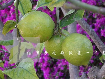 信用卡逾期恢复一半额度 信用卡逾期恢复一半额度