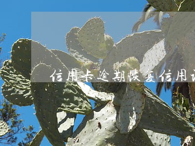 信用卡逾期恢复信用记录