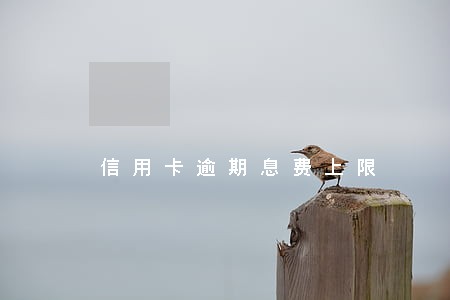 信用卡逾期息费上限 信用卡逾期息费上限