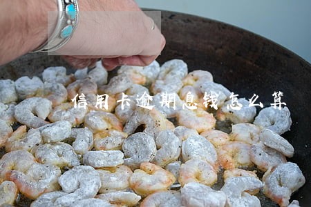 信用卡逾期息钱怎么算 信用卡逾期息钱怎么算