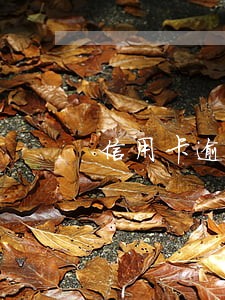 信用卡逾期悲催收 信用卡逾期悲催收