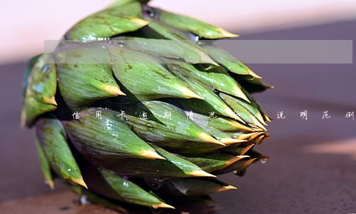 信用卡逾期情况个人说明范例 信用卡逾期情况个人说明范例