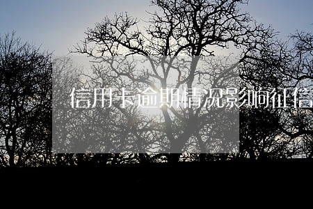 信用卡逾期情况影响征信 信用卡逾期情况影响征信